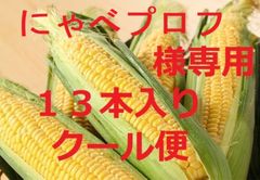 １箱・１３本・クール便・にゃべプロフ様専用・ゴールドラッシュ
