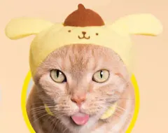 【中古】小物(キャラクター) ポムポムプリン 「かわいい かわいい ねこのかぶりもの サンリオキャラクターズ」