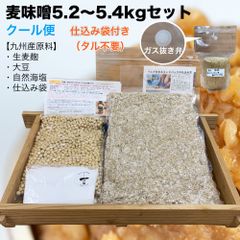 (袋付・クール)　味噌作りセット 麦味噌5.2～5.4kg　仕込み袋付き