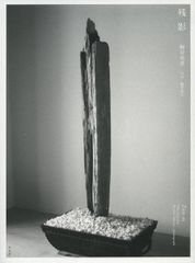 在庫処分最終価格》薄桜鬼 SSL 中国語版 限定版 特典 - メルカリ