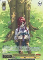 ヴァイスシュヴァルツ 戦いの外の日々　エルザ・スカーレット　ssp 戦いの外の日々 エルザ ssp サイン フェアリーテイル ヴァイス 凪さん