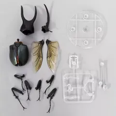 【中古】トレーディングフィギュア モーレンカンプオオカブト 「いきもの大図鑑アドバンス コーカサスオオカブト ディスプレイスタンドセット」 ガシャポンオンライン限定