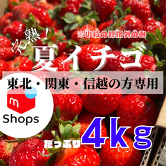 ✨大好評✨青森県産　夏イチゴ　小粒規格外　4kg