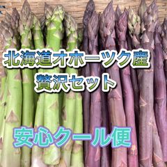 北海道オホーツク産アスパラガス贅沢セット