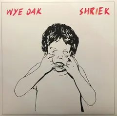 米LP Wye Oak Shriek MRG515 Merge Records /00260