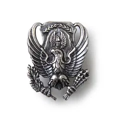 アメリカ空軍 USAF ROTC バッジ 新品 19NI-