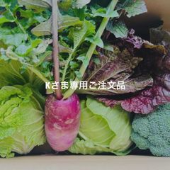 Kさま専用品のサムネイル