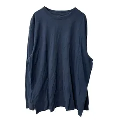 Carhartt 長袖 ロゴTシャツ XL ネイビー カーハート コットン100% 袖プリント ロングTシャツ シンプル カットソー a709-6584