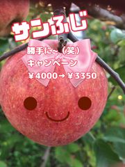 りんご山形県天童産【サンふじ】約10kg