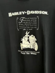 【超希少】1991’s　Harley Davidson×Warner Bros　 ハーレーダビッドソン　 ルーニー・テューンズ　Tシャツ　Made In USA 　美品