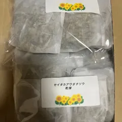セイタカアワダチソウ　ハーブ　バス　10g✖️12個入り セイタカアワダチソウ ハーブ バス 10g✖️12個入り