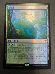 MTG 繁殖池 ギャラクシーfoil+通常foil　久遠の終端 MTG 繁殖池 ギャラクシーfoil+通常foil 久遠の終端 - メルカリ