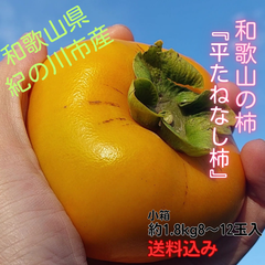 パリサク甘々秋の味　和歌山『たねなし柿』(手提げ箱8~12個入)/お買い得/少し訳あり/食べ頃/プチ贅沢/お取り寄せ/
