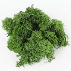 Item thumbnail for item 53e81ad0-32c0-4ccb-9e64-b5005b624b5a