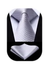 【特売】[HISDERN] フォーマル ネクタイ メンズ チーフ付き 幅8.5cm 高級 イージーケア 洗える チェック ストライプ ビジネス ブランド品 結婚式 就活 卒業式 入学式還暦 プレゼント43柄 HTC-01S