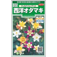 未開封【花の種】西洋オダマキ　マッカナジャイアント　0.5ｍｌ　約170粒
