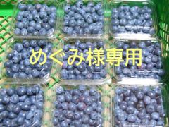 めぐみ様専用　農薬不使用ブルーベリーミックス3㎏プラスα！♪