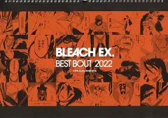 BLEACH　ブリーチ 2012年 壁掛けカレンダー 新品未開封品 1点 ブリーチ 2007年カレンダー - メルカリ
