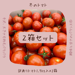 【２箱】トマトらしさ濃厚♡ 訳ありフルーツミニトマト 1.7kg入り✖️2箱【愛知県産】