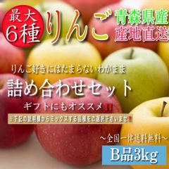 青森県産 "最大6種ミックス" りんご【家庭用B品3kg】【送料無料】【農家直送】林檎 リンゴ