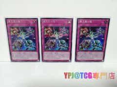 美品 遊戯王 ブラックマジシャンガール ウルトラ 五つ目 四つ星