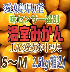 (常温便)愛媛県産　河内晩柑 等級（青秀）L〜3L 7.5kg(箱込)