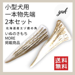 【送料無料】小型犬用　一本物2本セット　エゾ鹿の角　犬のおもちゃ　鹿の骨　B