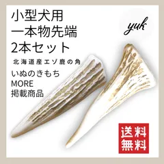 【送料無料】小型犬用　一本物2本セット　エゾ鹿の角　犬のおもちゃ　鹿の骨　B