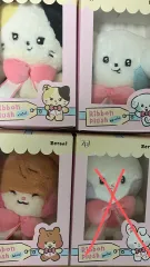 ZEROBASEONE zeroni ハニニ クローゼットぬいぐるみ2点セット ZEROBASEONE ジャンハオ zeroni ハニニ ぬいぐるみ トレカ付き