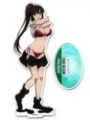 ストライク・ザ・ブラッドIV 煌坂紗矢華　デカアクリルスタンド　アクスタ ストライク・ザ・ブラッドIV デカアクリルスタンド 煌坂紗矢華