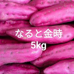 徳島県産なると金時 5kg 少し訳あり 鳴門金時ナルトさつまいも玉葱タマネギ