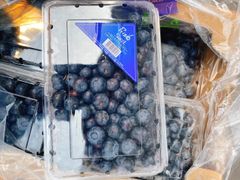新鮮なブルーベリー 311g カナダ産 12盒クール便発送 - メルカリ