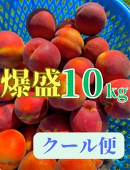 爆盛10kg】信州早生ワッサー 桃 家庭用 クール便 - メルカリ