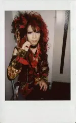 Royz 公大 まとめ売り Royz 公大 on X: 