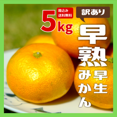 【後期】【訳ありみかん】早熟早生みかん 産地直送 箱込約5kg 送料無料