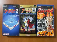 《美品》 全日本プロレス・スーパーファイヤープロレスリング2・3  箱説ハガキ付き　スーパーファミコンソフト