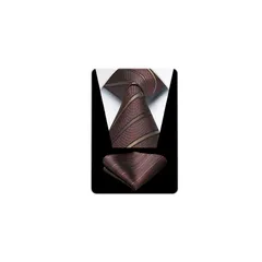 [HISDERN] ネクタイ メンズ ブラウン ポケットチーフ セット ストライプ柄 ビジネス 就活 フォーマル 入学式 卒業式 成人式 プレゼント