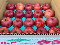 信州「赤田の家」サンふじ　小玉20個入り5k箱