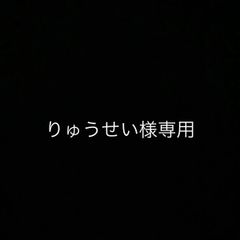 りゅうせい様専用