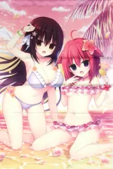 【中古】タペストリー [単品] 海道美琴＆狩野みなと B2タペストリー 「PS4/Switchソフト ラズベリーキューブ 初回限定特装版」 同梱特典
