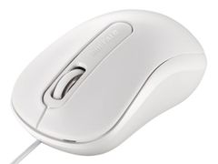 Item thumbnail for item 7303d8d8-7e18-494a-9592-67c9b484a981