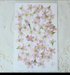 2025年最新】HANAMIZUKIの人気アイテム - メルカリ