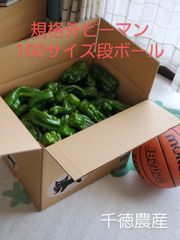 規格外ピーマン100サイズ段ボール(5.5kg～6.5kg)