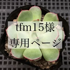 tfm15様専用ページ
