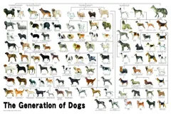 2024年最新】犬 系統図の人気アイテム - メルカリ