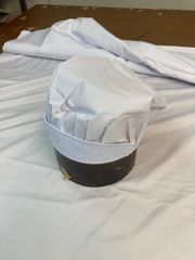 Item thumbnail for item cea33a73-66df-4858-8bb6-3af4cb3e7378