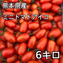 熊本産アイコ 6kg Amazon.co.jp: 熊本産 アイコトマト 約3キロ【003】 農家さん直