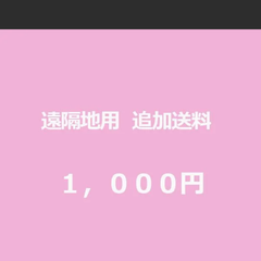 沖縄、北海道専用