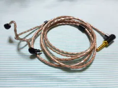 エッジ張り替え済美品SONY SS-X100