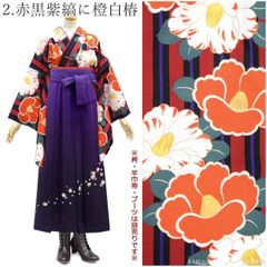 Item thumbnail for item 61d348a6-c58b-4927-a6e2-9995fc747a90